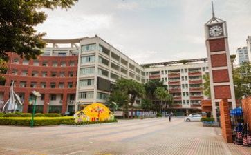 学校师德月活动总结通用5篇