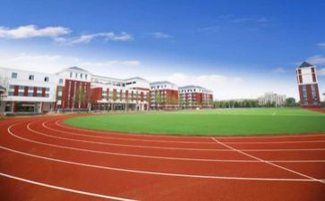 学校环保的活动总结5篇