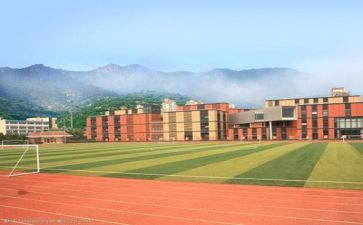 学校教师年终总结个人总结8篇