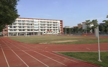 2023学校个人年度总结6篇