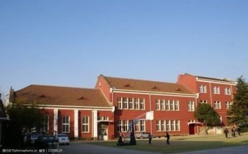 2023学校个人年度总结参考8篇