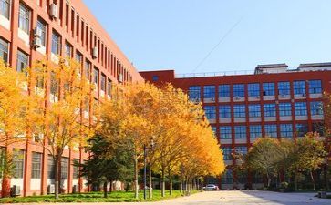 学校出纳个人年终总结8篇