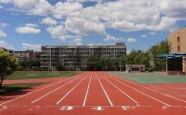 学校说课活动总结优质7篇