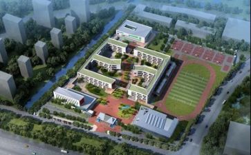 学校年度个人总结模板8篇