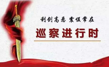 被巡察单位工作汇报材料8篇