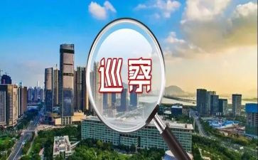 对镇党委巡察工作报告5篇