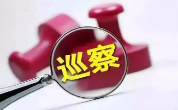 巡察述职述廉报告8篇