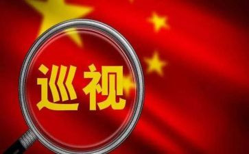 巡查个人总结5篇