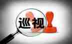 巡查自查报告最新6篇