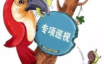 巡视组巡视工作报告8篇