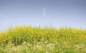 关于友情的作文叙事8篇