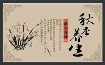 养生卡活动方案6篇
