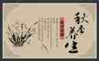 养生卡活动方案6篇