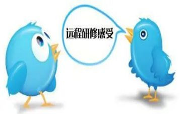 个人网络研修培训总结6篇