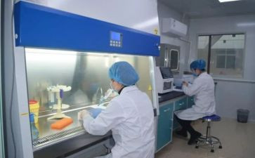 2023年实验员年终总结5篇