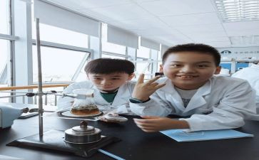 食品化验员工作个人总结5篇