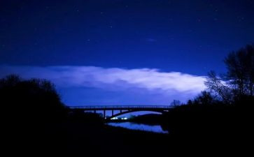 夜莺的读后感6篇