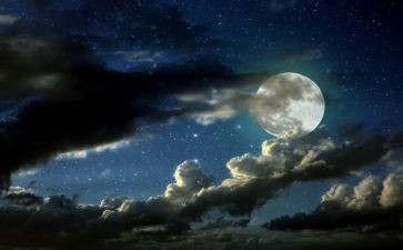 2024年除夕夜作文800字8篇