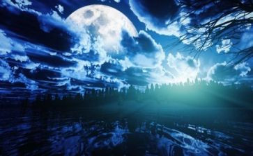 失眠夜作文精选5篇