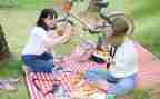 写去野餐的作文7篇