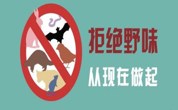 关于拒绝野味的演讲稿7篇