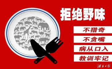 食野味从我做起演讲稿5篇