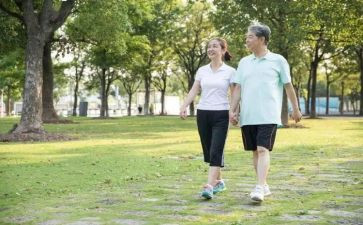 爷爷奶奶好教案6篇