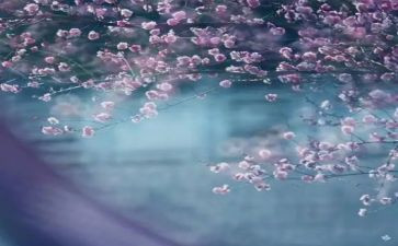 2024年物业公司一季度工作总结7篇