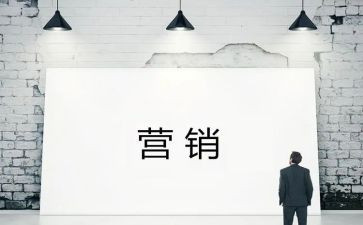 个人营销工作总结范文5篇