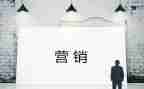 个人营销工作总结范文5篇