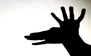 追影子中班教案5篇