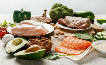 饮食的演讲稿推荐5篇