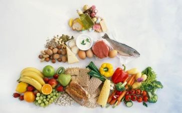 饮食的演讲稿7篇