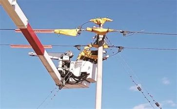 农用电申请书通用8篇