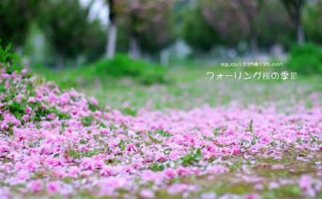 永恒的作文模板6篇