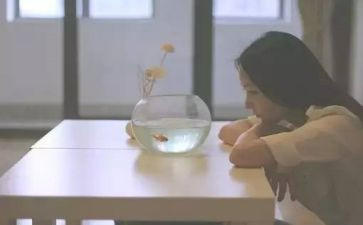 讲自己优点的作文6篇