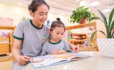 幼师工作年度总结个人总结7篇