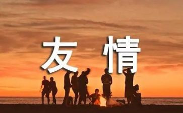 友谊的作文800字高中优秀作文8篇
