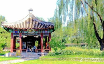 元旦游园活动策划5篇