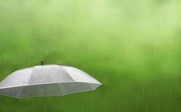 雨过天晴的作文300优质7篇