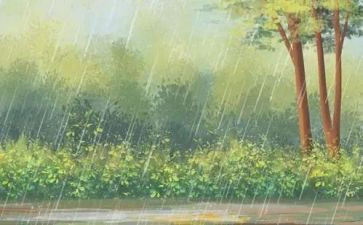 聆听雨的作文推荐8篇