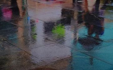 作文雨200字8篇