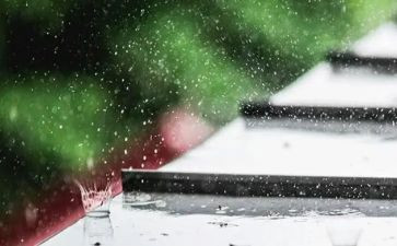 写细雨的作文500字8篇