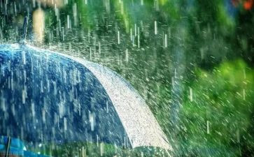 校园的雨作文800字作文最新8篇
