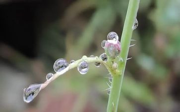 雨的叙事作文优秀5篇