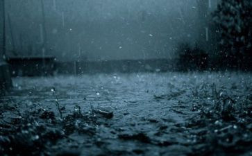 关于春雨的优秀作文5篇