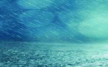 作文雨200字最新8篇