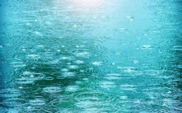 关于校园的雨的作文推荐6篇