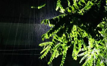 小雨和小雨中班音乐教案6篇