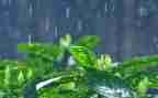 大班音乐雨教案通用6篇